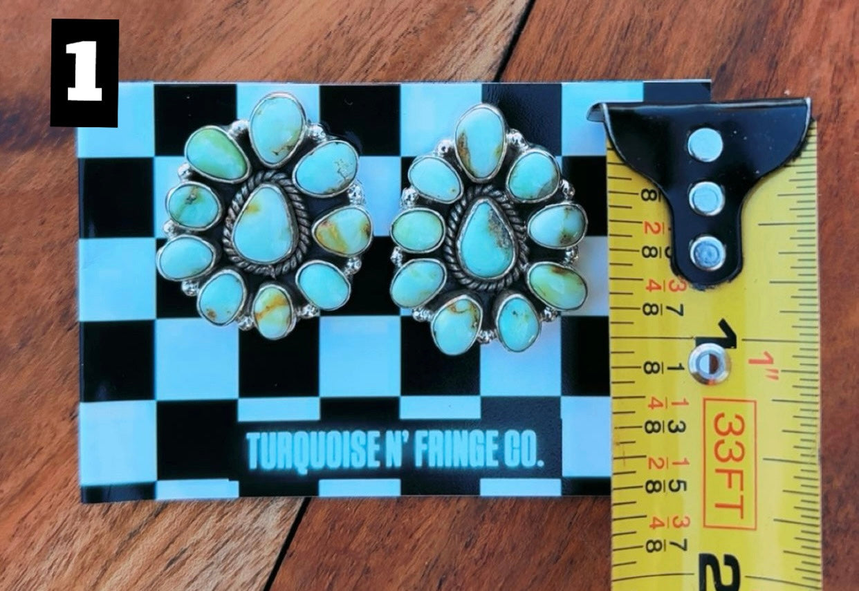 Palomino Full Cluster Sterling Silver Studs