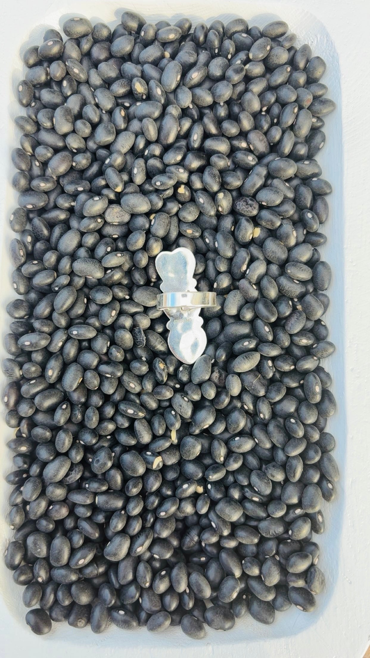 SONORAN HEARTS DROP: Sterling Silver 925 Sonoran Gold Pieces